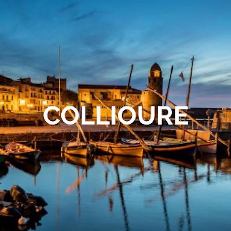 Visite Languedoc Roussillon Apartment Perpignan Bagian luar foto